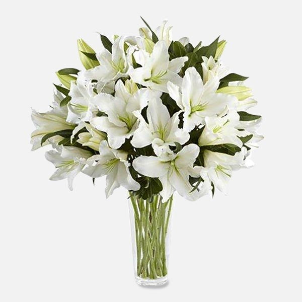 white funeral lily White Lily Grace
